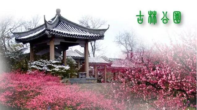<b>【南京三門灣電器】周日4.24古林公園賞牡丹花、</b>